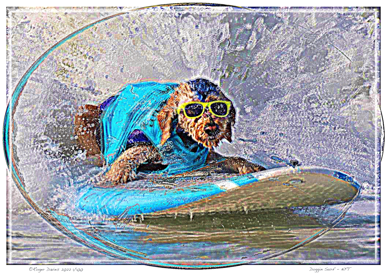 Doggin Surf - NFT