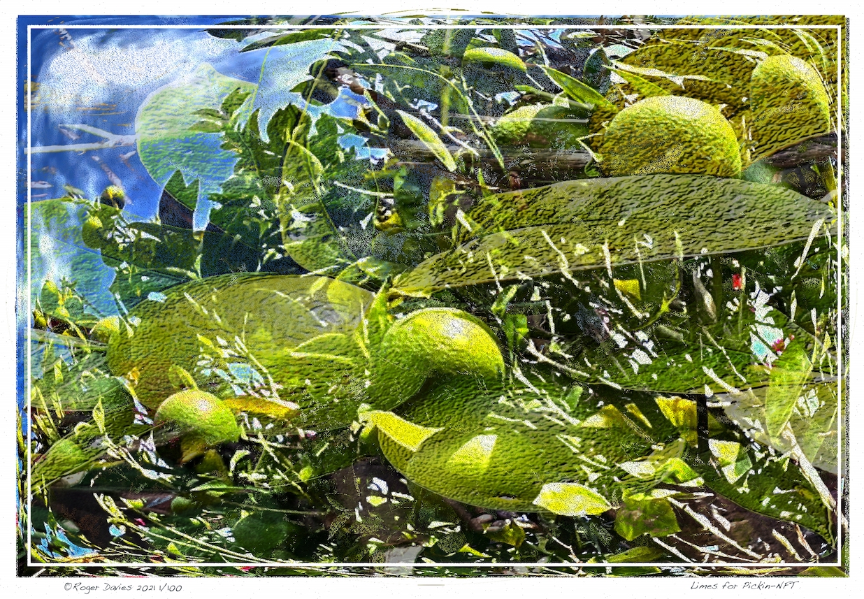Limes for Picken-NFT