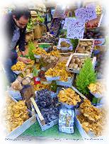 Boutique de Champignons, Rue Mouffetard